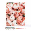  Painting by numbers Peach Peony Roses: Photo 2 - ORNER 