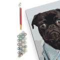  Painting by numbers A pug: Photo 4 - ORNER 