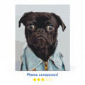  Painting by numbers A pug: Photo 3 - ORNER 
