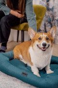  Лежак Классический для собак бирюзовый M: Фото 4 - ORNER 