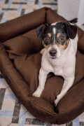  Лежак Классический для собак коричневый M: Фото 5 - ORNER 