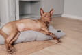  Bed for pets light gray L: Photo 4 - ORNER 