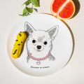  Plate  Chihuahua-girl: Photo 3 - ORNER 
