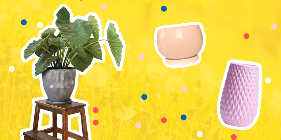 Як підготуватися до весни?: Фото 6 - ORNER