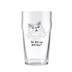  Beer glass Surprised cat: photo - ORNER 
