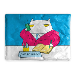  Чехол для ноутбука «ЗАМ»: фото - ORNER 