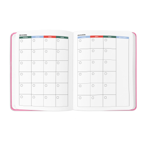  Планер «I HAVE ABSOLUTELY NO PLAN» рожевий: Фото - ORNER 