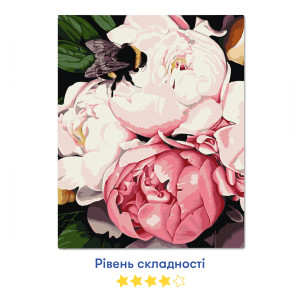  Картина по номерам ORNER x Osmolovska «Пчела и пионы»: Фото - ORNER 