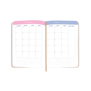  Мини-планер «I HAVE A MAGIC PLAN mini» бежевый: Фото - ORNER 