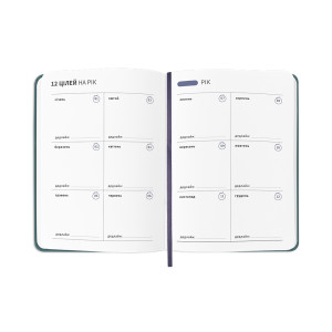  Планер-дневник «Мой продуктивный год» темно-зеленый: Фото - ORNER 