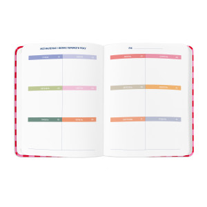  Планер «I HAVE A SECRET PLAN» рожевий: Фото - ORNER 