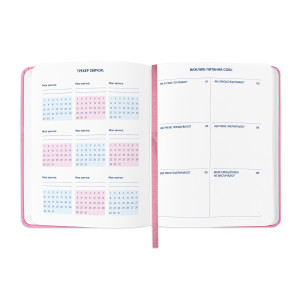  Планер «I HAVE ABSOLUTELY NO PLAN» рожевий: Фото - ORNER 