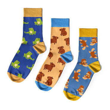 Набор носков «Капибара з друзьями»: фото - ORNER 