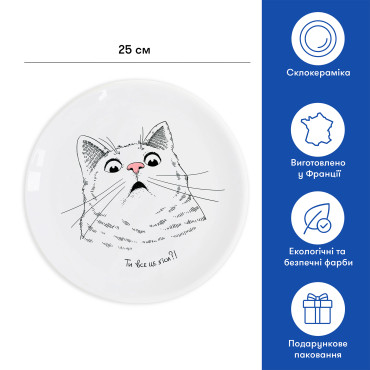  Surprised cat Plate: photo 2 - ORNER 