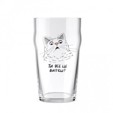  Beer glass Surprised cat: photo - ORNER 