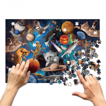  Jigsaw puzzle Cats in open space 500 elements: photo 2 - ORNER 