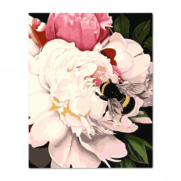  Painting by numbers ORNER x Osmolovska Peonies and bee: photo - ORNER 