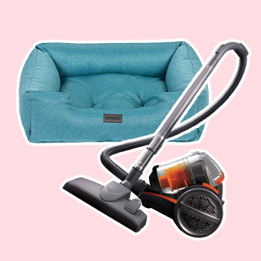  Как ухаживать за лежаком питомца?: Фото - ORNER 