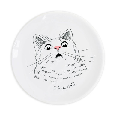  Surprised cat Plate: photo - ORNER 