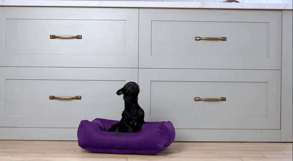  Classic bed for pets violet S: Photo - ORNER 