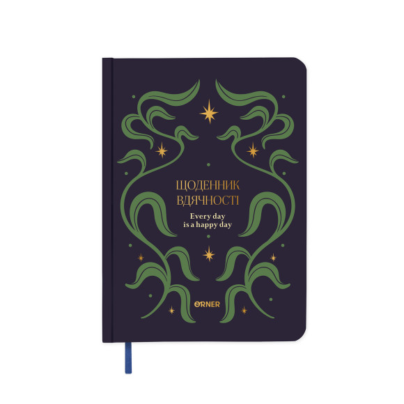  Gratitude diary 