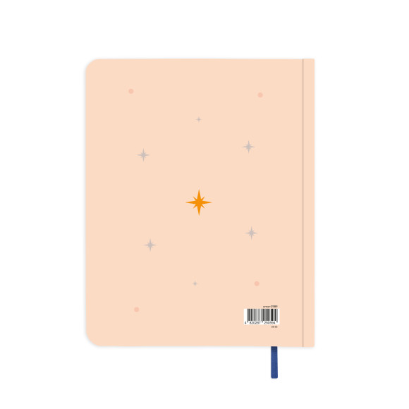  Gratitude diary 