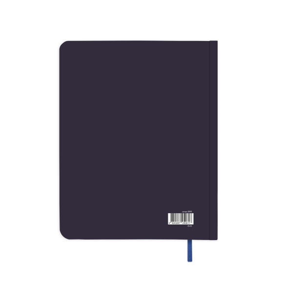  Gratitude diary 