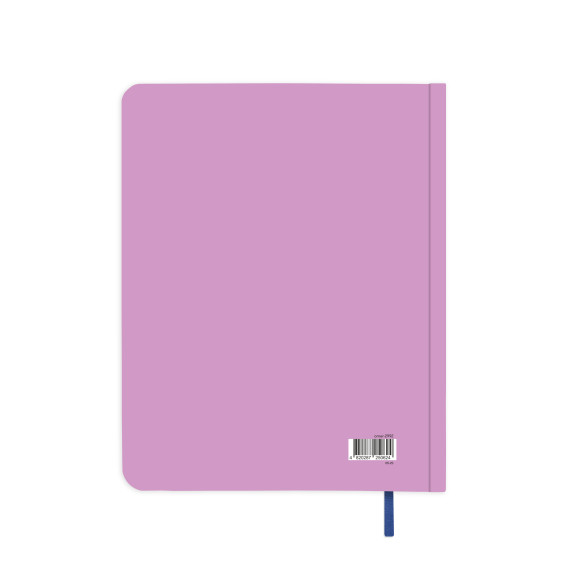  Gratitude diary 