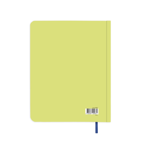  Gratitude diary 
