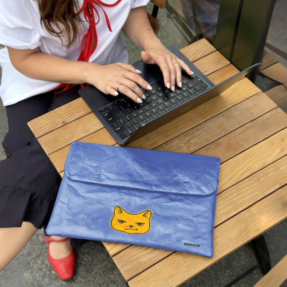  Laptop case 