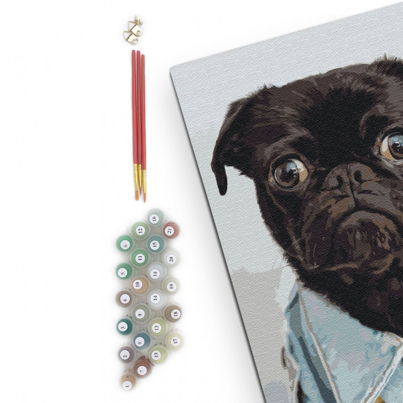  Painting by numbers A pug: Photo - ORNER 