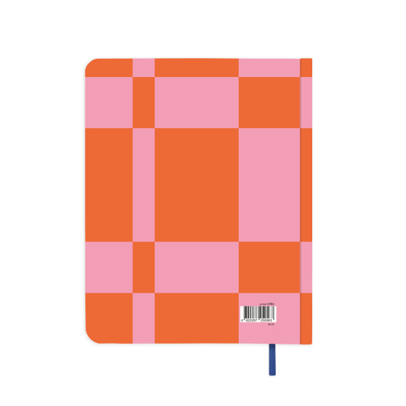 Gratitude journal 