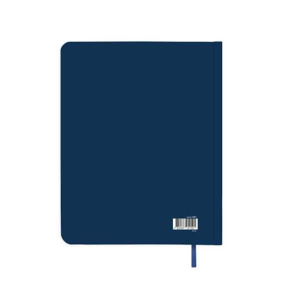  Gratitude diary 