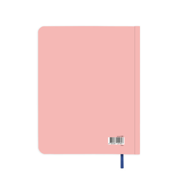  Gratitude diary 