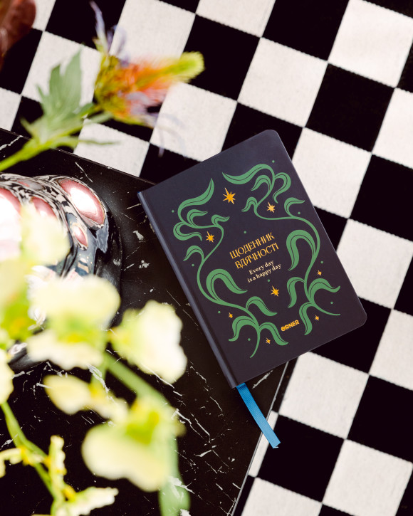  Gratitude diary 