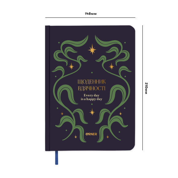 Gratitude diary 
