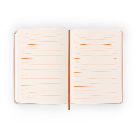  Щоденник на 3 роки «Один день одне речення» світлий: Фото - ORNER 