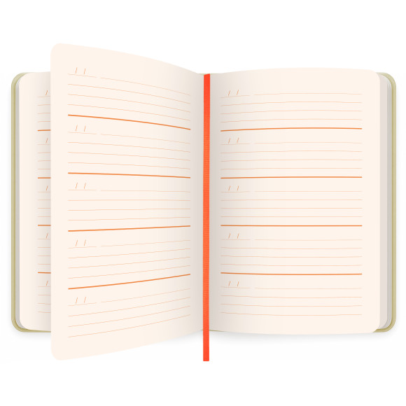  Щоденник на 3 роки «One line a day» світлий: Фото - ORNER 