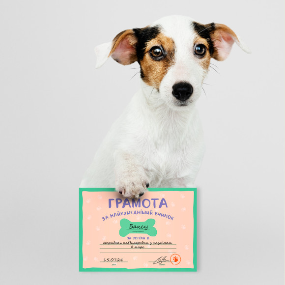  Banda Certificates for dogs ORNER x Tailed Banda: Photo - ORNER 