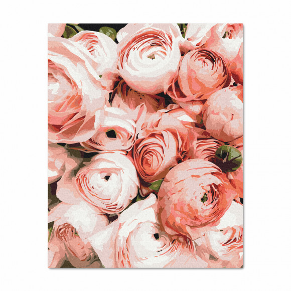  Painting by numbers Peach Peony Roses: Photo - ORNER 