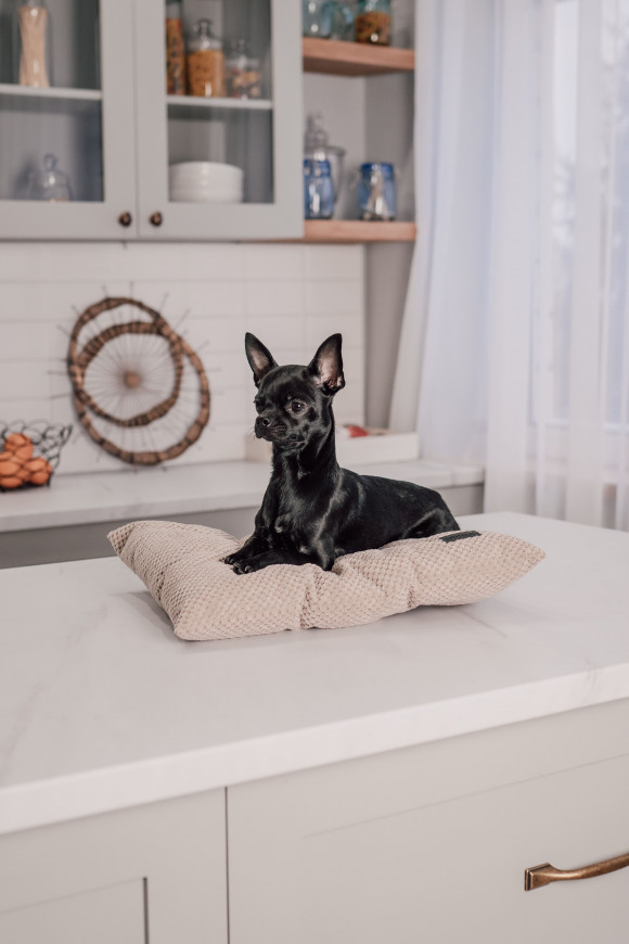  Bed for pets beige S: Photo - ORNER 