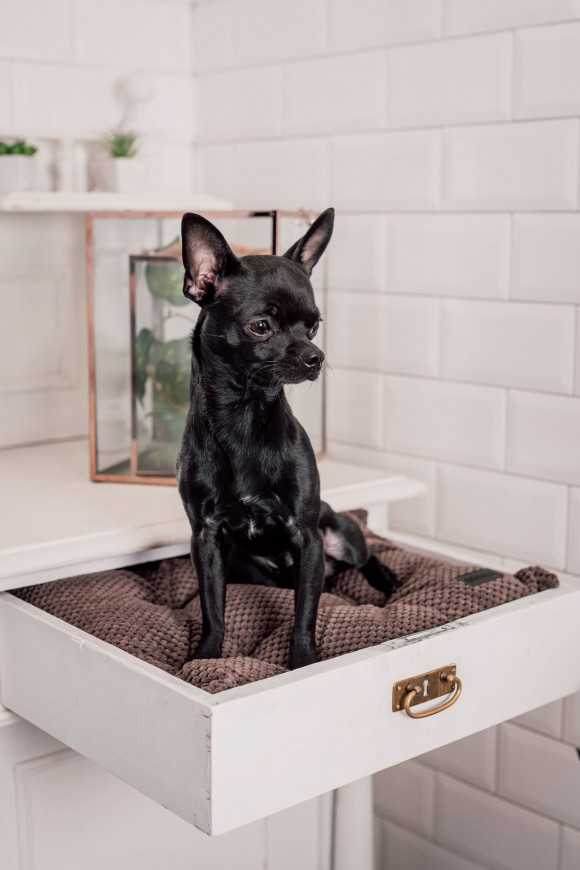  Bed for pets brown S: Photo - ORNER 