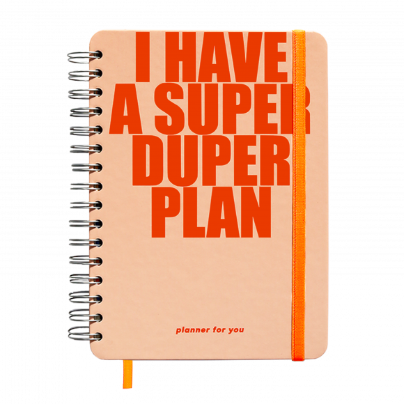  Set of Big planner I HAVE A SUPER DUPER PLAN peachy and Calendar Happy 2021: Photo - ORNER 