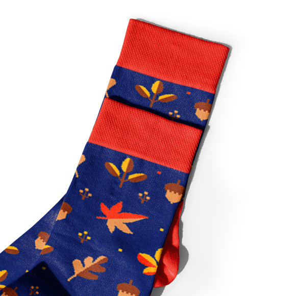  Шкарпетки «Осінні дари» червоні 1 пара: Фото - ORNER 