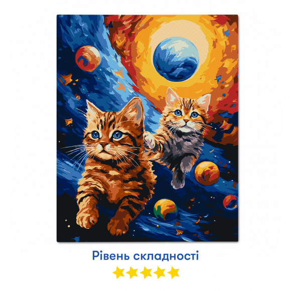 Картина за номерами «Коти летять в космосі»: Фото - ORNER 