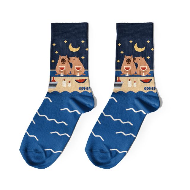 Шкарпетки «Капібари на пляжі» 1 пара