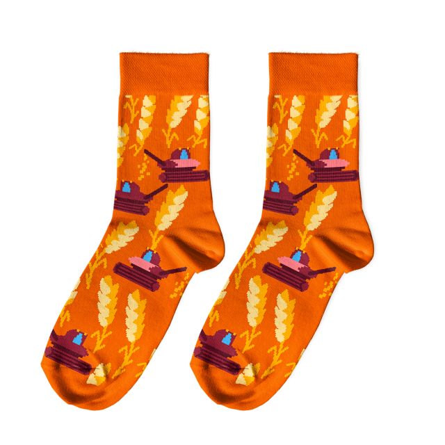 Socks "Spikelet Field" 1 pair