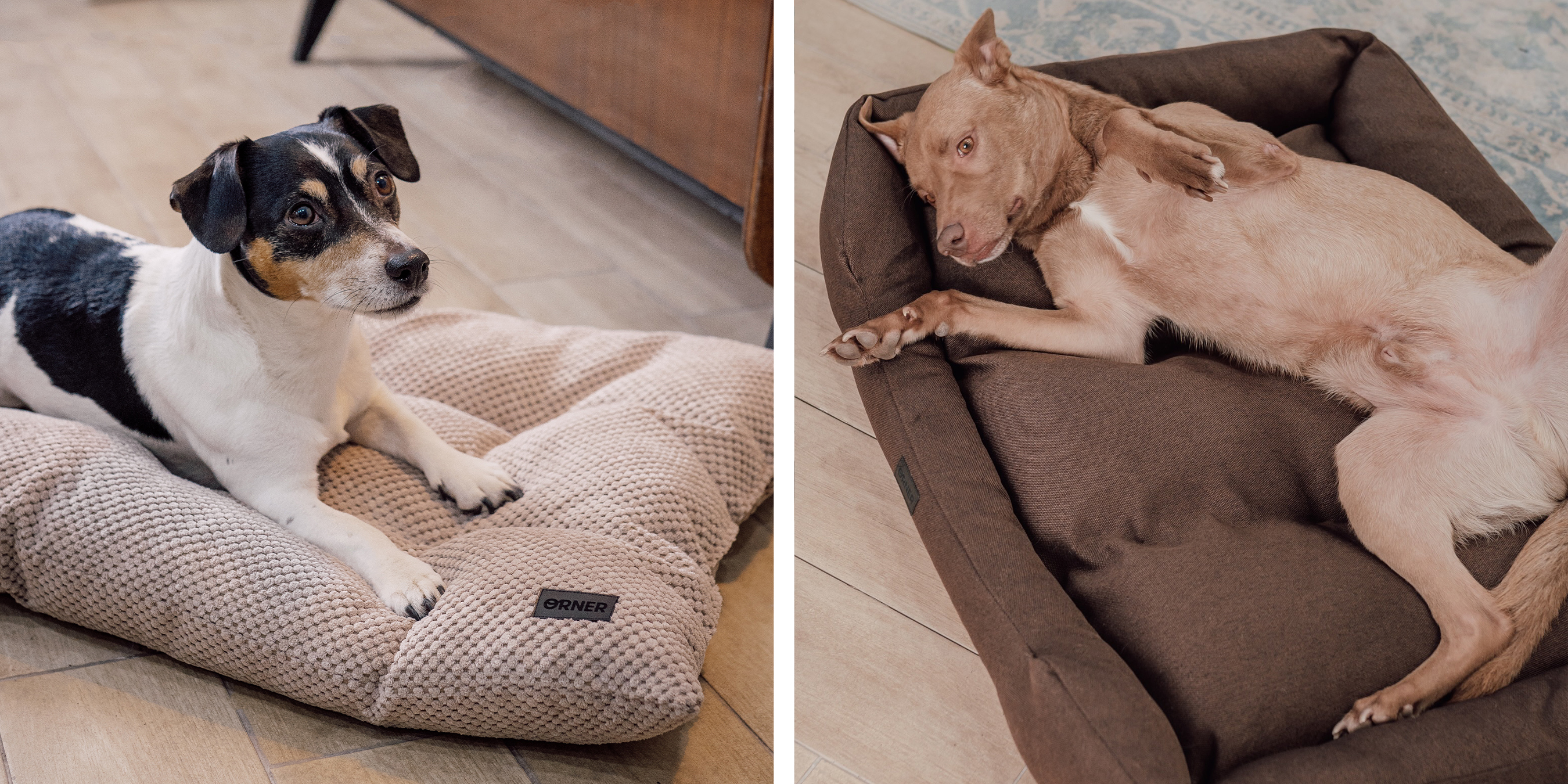 Своє місце: як вибрати лежак для улюбленця?: Фото 6 - ORNER