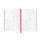  Планер-щоденник «Daily planner» рожевий: Фото - ORNER 